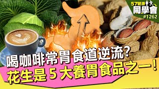喝咖啡常胃食道逆流？ 花生是５大養胃食品之一！【57健康同學會】第1262集 2014年｜隋安德 許晶晶 潘懷宗 蕭敦仁 李婉萍 舒夢蘭 余建源