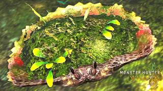 見た目は10種類以上！環境生物『モリサカズキガニ』の生態【モンハンワイルズ】