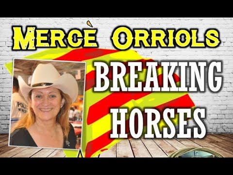 WORKSHOP BELT FESTIVAL 2017 - BREAKING HORSES