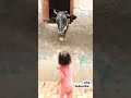 Choti Choti Gaiya Shorts Trending