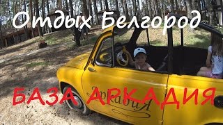 Ссылка