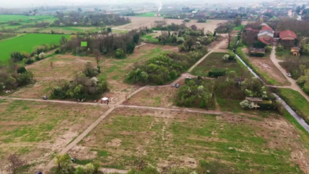 Autostrade estende la forestazione lungo la sua rete con 60 ettari di nuove aree verdi nel 2024-2025