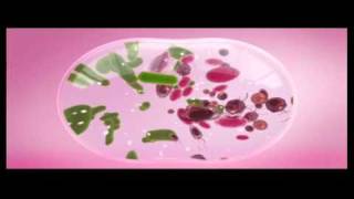 Download lagu New Lactacyd TVC Commercial (30sec) mp3