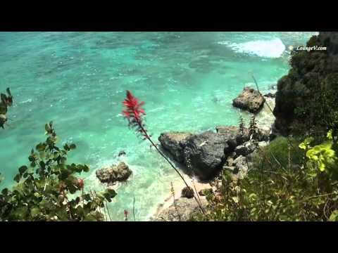 Day on the beach | Daniel Elizondo