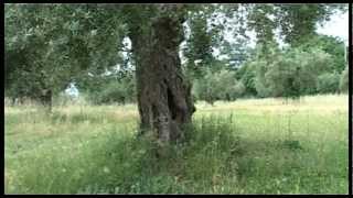 Preghiera dialettale antica dell'Agro Aversano