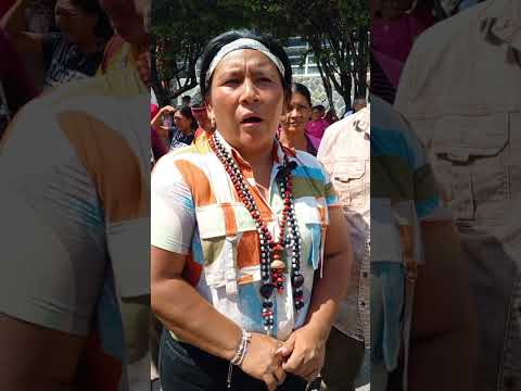 4 de noviembre de 2025