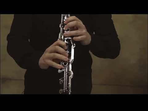 Arshik Miftari & V2 Band - Ti qe fike shpirtin tim