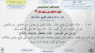 صورة شرح الجامع الكبير للترمذي : باب ماجاء في فضل التزويج والحث عليه - الحديث 1096 || ماهر ياسين الفحل