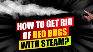How to kill bed bugs with steam.