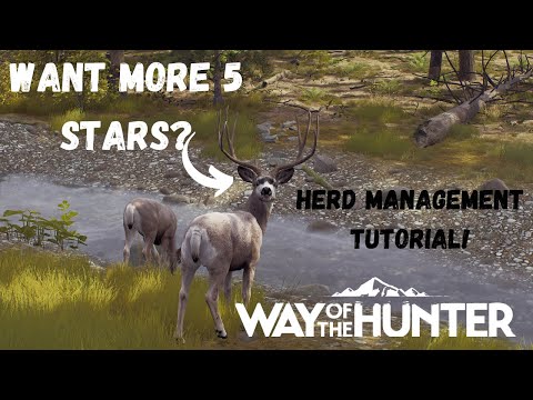 Tutorial On Everything Herd Management! | Way of the Hunter