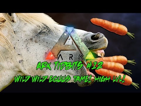 Ark TidBits #12 Wild Wild Equus Tame! High Level!