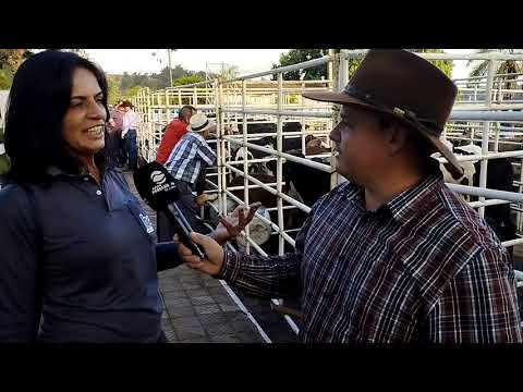 10º Leilão Direito de Viver em Arapuá-MG em prol do Hospital de Amor