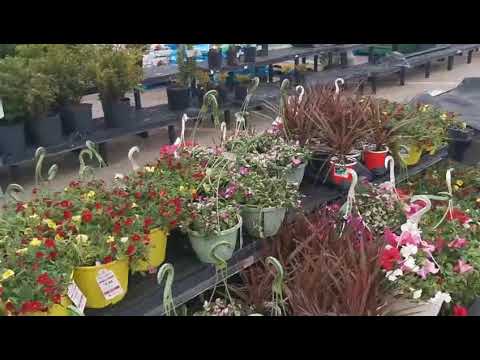 美国近日多雲有雨。E3185