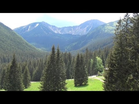 Chocholowska Valley, Witow, Poland / Dolina Chochołowska, Witów, Polska