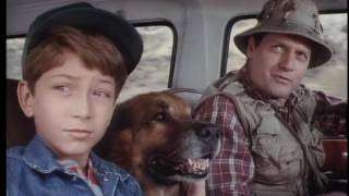 Download lagu Highway to Heaven - Season 3, Episode 3 – For the Love of Larry mp3 Download lagu Highway to Heaven - Season 3, Episode 3 – For the Love of Larry mp3