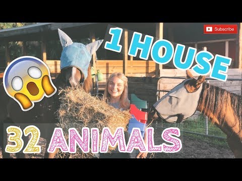 MORNING ROUTINE | FEEDING ALL MY 32 PETS!!