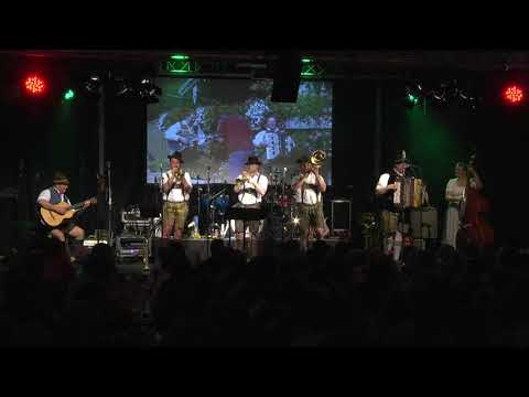 Hallgrafen Musikanten - Junior´s Franze´