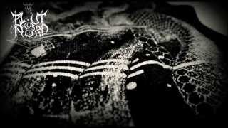 Blut Aus Nord - Procession Of The Dead Clowns