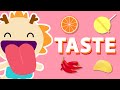 TASTE ♫ | Five Senses Song | Wormhole Learning - Songs For Kids