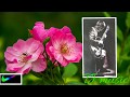 புன்னை வனத்து குயிலே நீ HD QUALITY