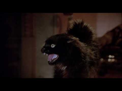 40 seg. de "Más negro que la noche"