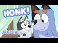 Honk Dad S Nose Makes A Funny Sound 🪿 Muffin Official Channel
