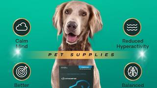 🌩️ Calm Your Anxious Dog INSTANTLY! | VetriScience Composure