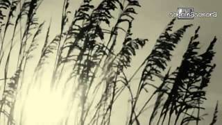 Maria Gadú - Estranho Natural