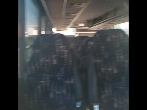 Amtrak Bus