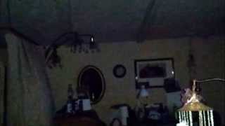 What are these alien beings that are invading my home?