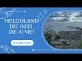 Erlebe die Faszination Helgoland – Webcam von Helgoland mit Düne und Hafen