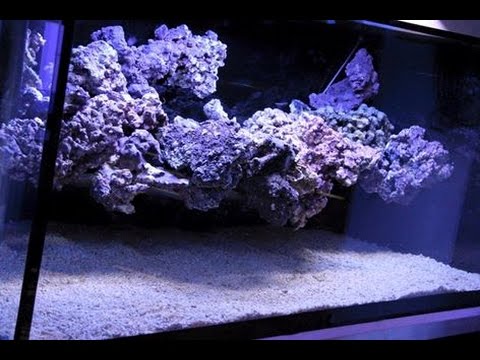 The floating reef aquascape tutorial by coral gardens (EN)