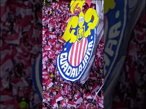"" Barra: La Irreverente &bull; Club: Chivas Guadalajara