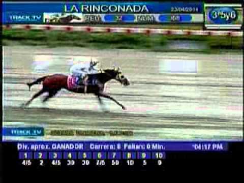 Resumen Sábado, 23 de Abril de 2011 - La Rinconada
