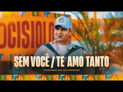 SEM VOCÊ / TE AMO TANTO - Tarcísio do Acordeon (Tarcisiologia)