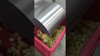 Venta de Urschel Diversacut Sprint máquina cortadora de verduras - Imagen 4 | Machineryline PY Urschel Diversacut Sprint máquina cortadora de verduras | Imagen 4 - Machineryline