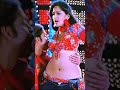 Anushka Shetty Hot Actress Hot Saree Navel Press And Kissing