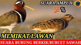 Download lagu Suara berkik Jantan dan betina/Suara burung Burcet/berkik pekung #Suarapikatburungberkikmalamhari mp3 Download lagu Suara berkik Jantan dan betina/Suara burung Burcet/berkik pekung #Suarapikatburungberkikmalamhari mp3