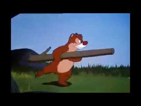 Donald Duck sfx - All in a Nutshell