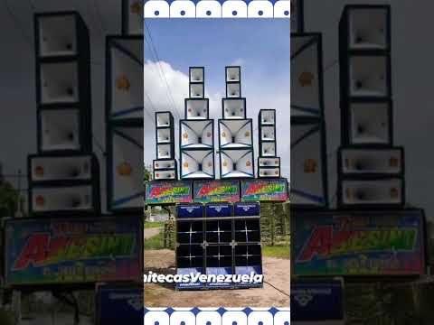 CHAMPETA AFRICANA CON SOBRE BAJO 2024 ALOQUILLA 2