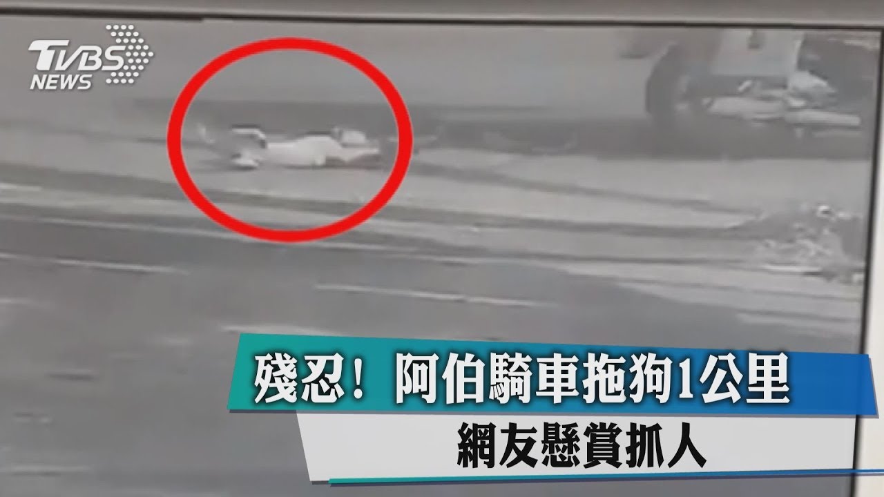 殘忍!阿伯騎車拖狗1公里 網友懸賞抓人