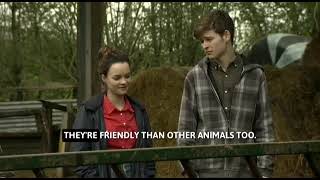 Animal fact - Conversation Level B1