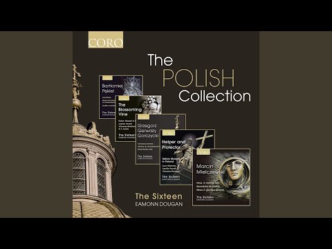 Missa Pulchra es: Agnus Dei