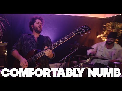 The Main Squeeze - "Comfortably Numb" (Pink Floyd)