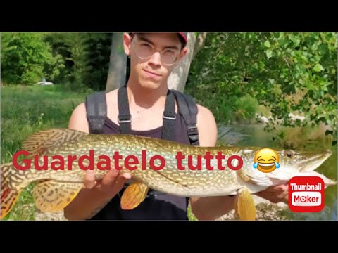 HO TROVATO IL BUNKER DEI LUCCI !