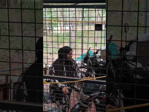 Marco നെ കണ്ട Nashva 😂❤️