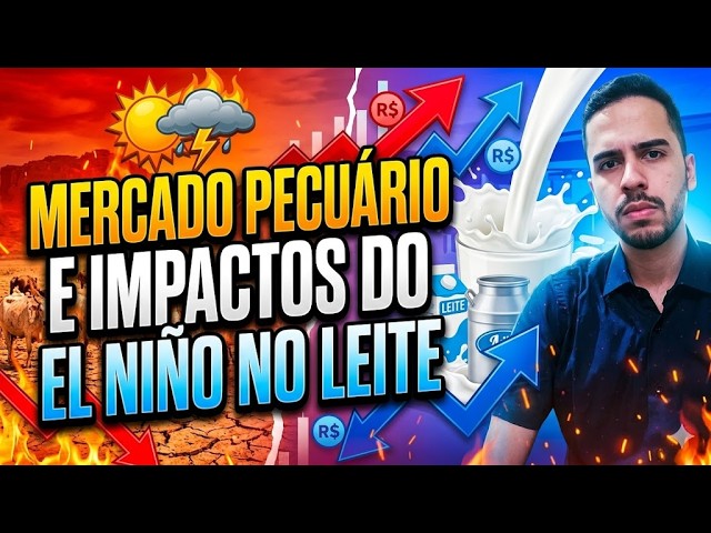 Mercado Pecuário e impactos do El Niño no Leite.