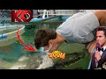 MAN got KNOCKED OUT by a MONSTER FISH??? WHAT REALLY HAPPENED