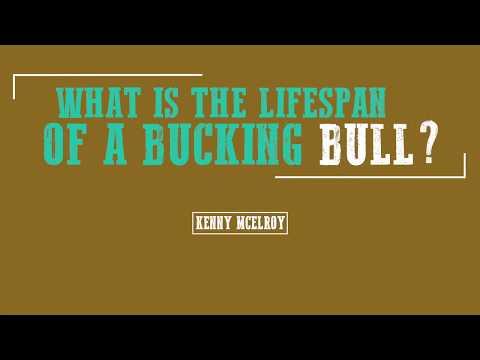 Kenny McElroy: What Is The Lifespan Of A Bucking Bull?