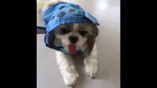 [問卦] 中西圭三